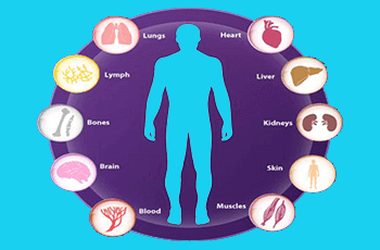 Health Risk Assessment Package